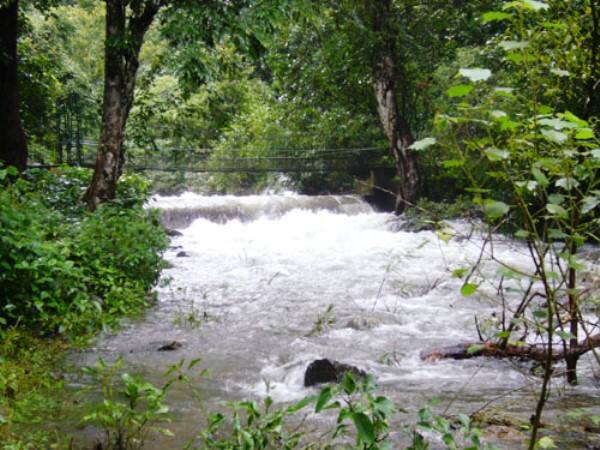 Chilligeri Estate Stay, Coorg 3